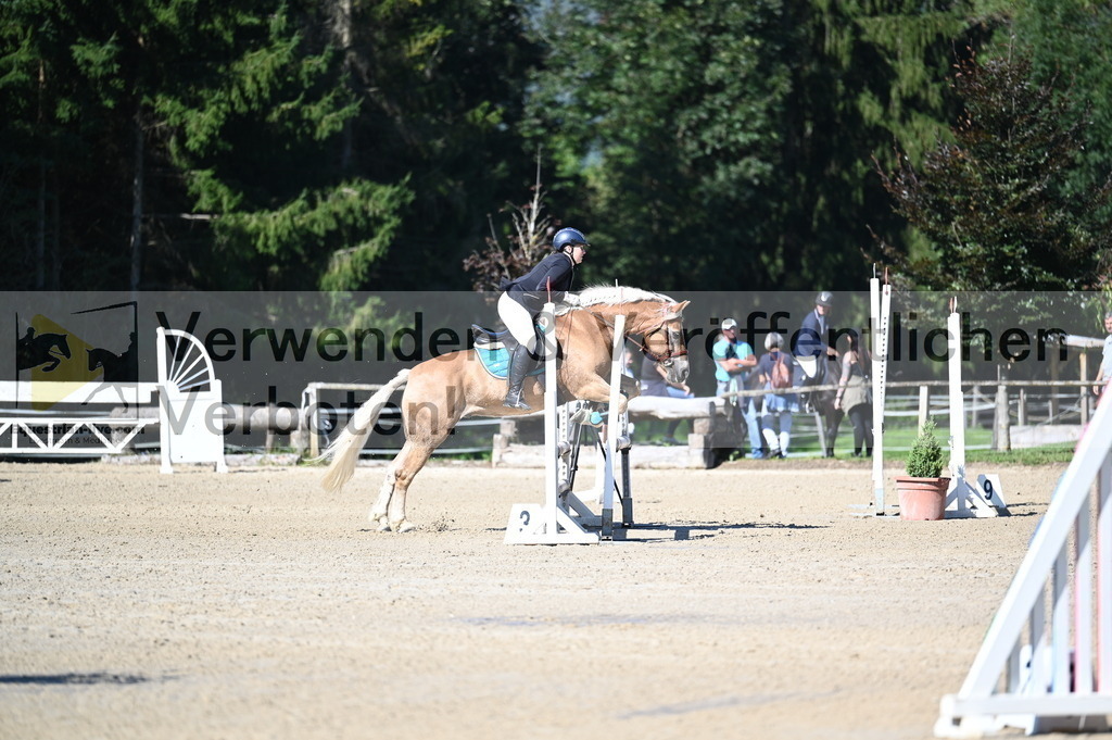 DSC_8085 | equestrian-live-com