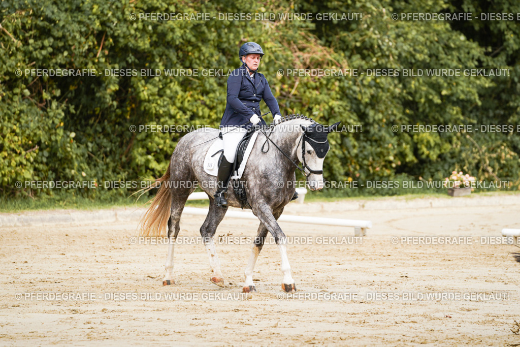 DSC01734 | Pferdegrafie