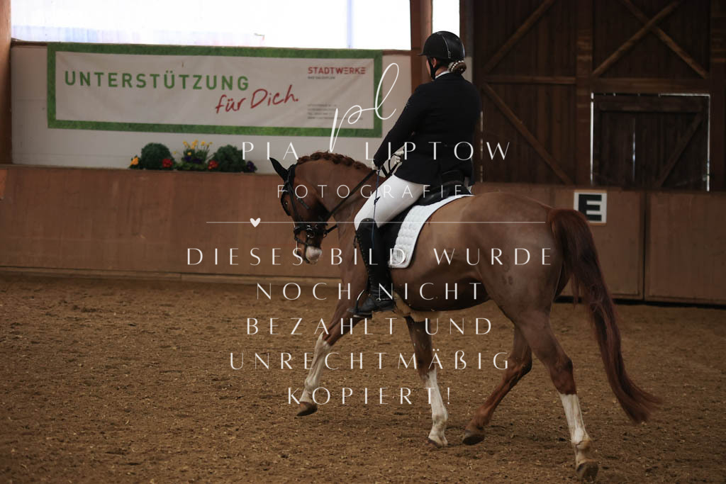 IMGT8868 | pl-fotografie