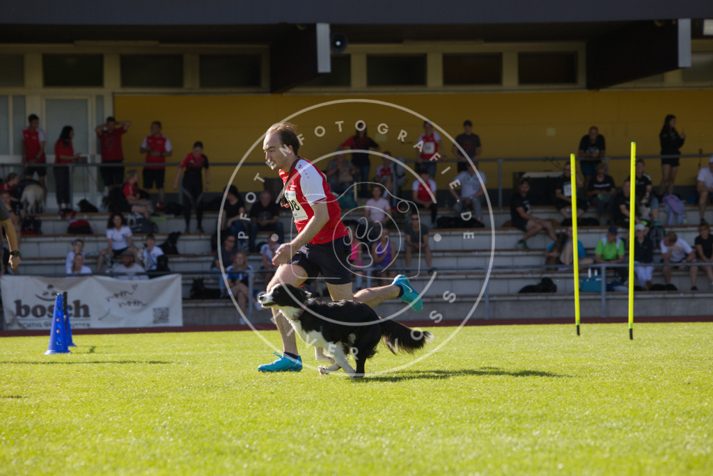 0L8A8818 | Hundefotografie, Tierfotograf, Pfotenfotografie, Fotoshooting Hund, Hunde Portrait, Hundesport, Hundeportraits, Heideshooting, Hunde, Sportfotograf, Hundefotograf, Turnierhundsport, THS,  - Realisiert mit Pictrs.com