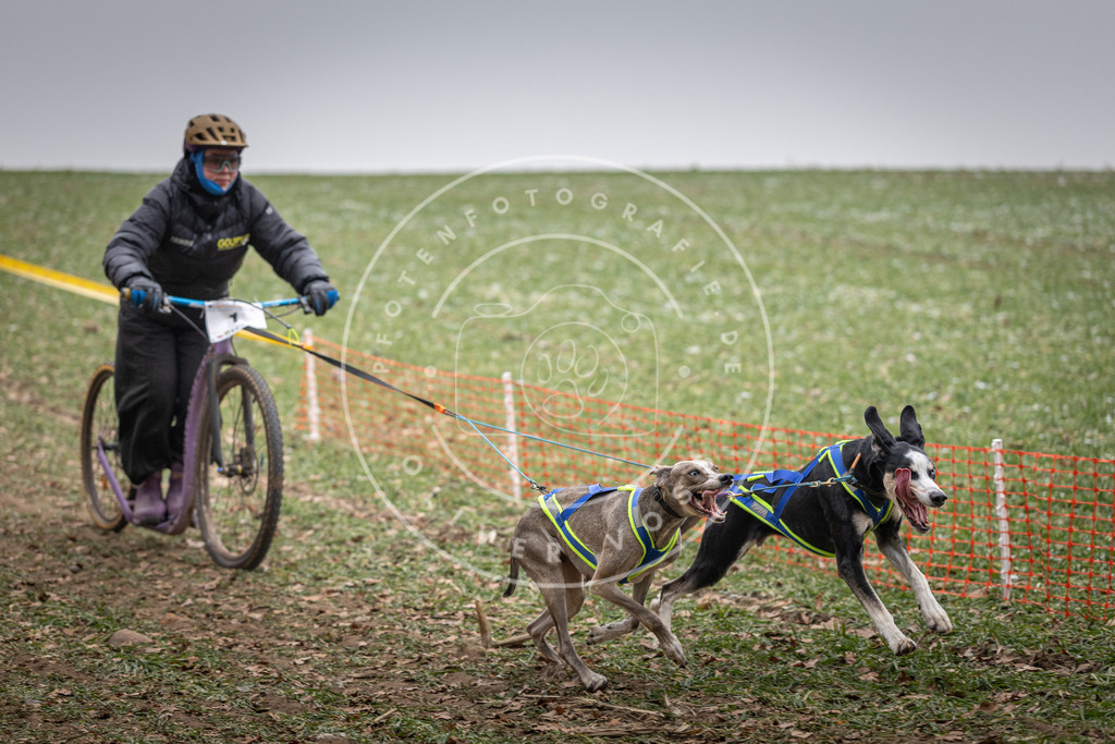 Pfotenfotografie_DV3A2142 | Hundefotografie, Tierfotograf, Pfotenfotografie, Fotoshooting Hund, Hunde Portrait, Hundesport, Hundeportraits, Heideshooting, Hunde, Sportfotograf, Hundefotograf, Turnierhundsport, THS,  - Realisiert mit Pictrs.com