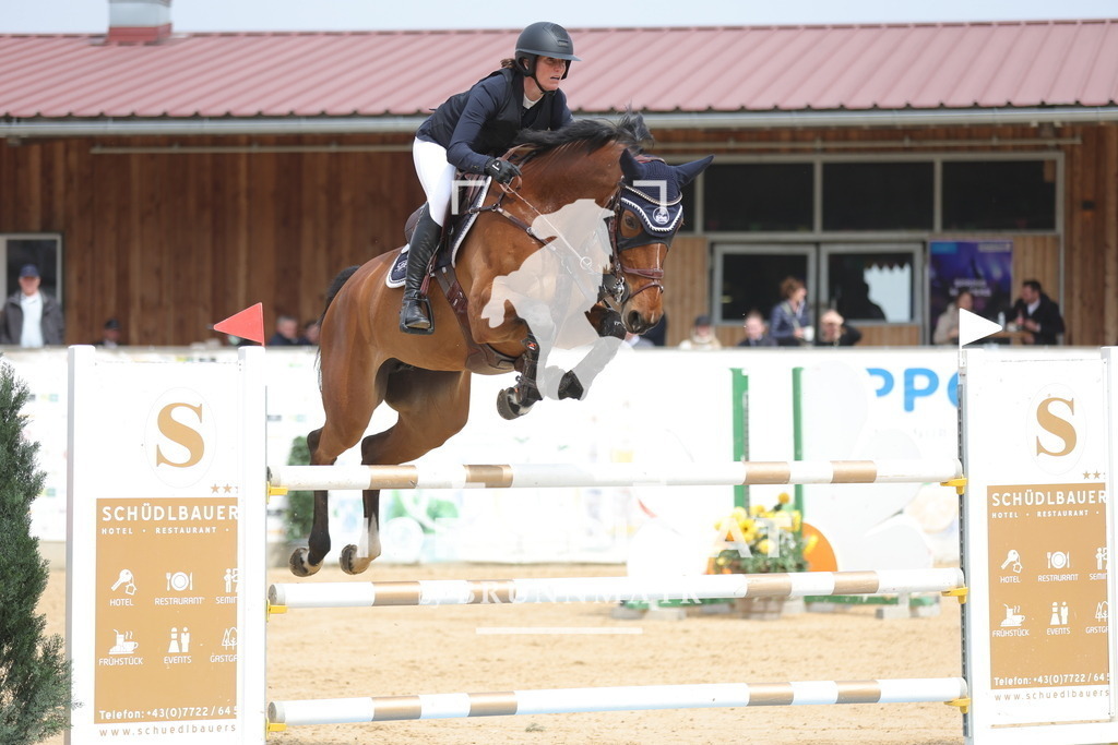 0P6A6178 | Willkommen bei Brunnmayr - Design & Fotografie – Ihrem Spezialisten für Reitturniere und Pferdeveranstaltungen in Oberösterreich, Salzburg und Bayern! Seit über 17 Jahren sind wir leidenschaftlich dabei.