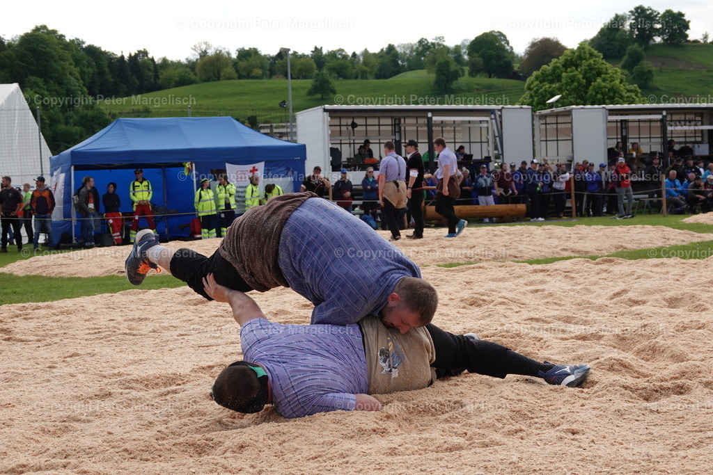 DSC00674 | Schwingen - Realisiert mit Pictrs.com