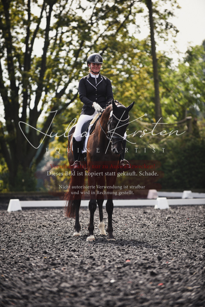 DSC_3706 | Pferde- und Turnierfotografie in Westsachsen. Pferdeportraits, Auftragszeichnungen und intuitive Kunst.