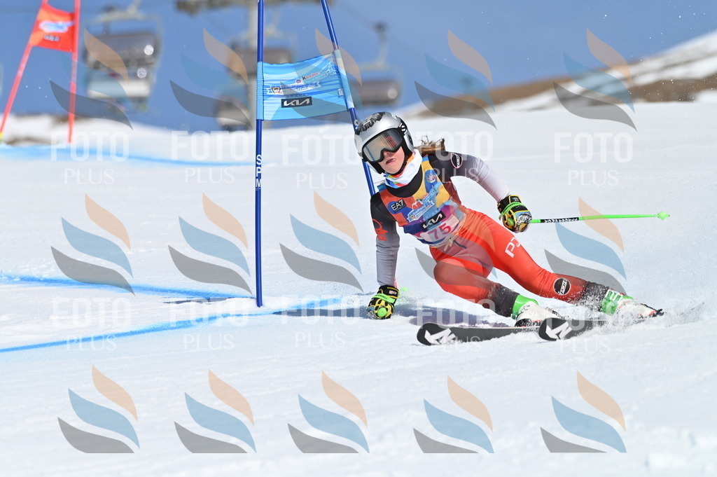 BGV_8998 | holidayphoto