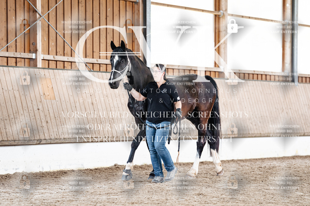 CK908026 | Turnierfotografie Pferdefotografie Trier Rheinland-Pfalz Pferdesport Reitsport Tierfotografie Sportfotografie Pferdevideo Pferdevideografie Equestrianvideography equestrianphotography  - Realisiert mit Pictrs.com