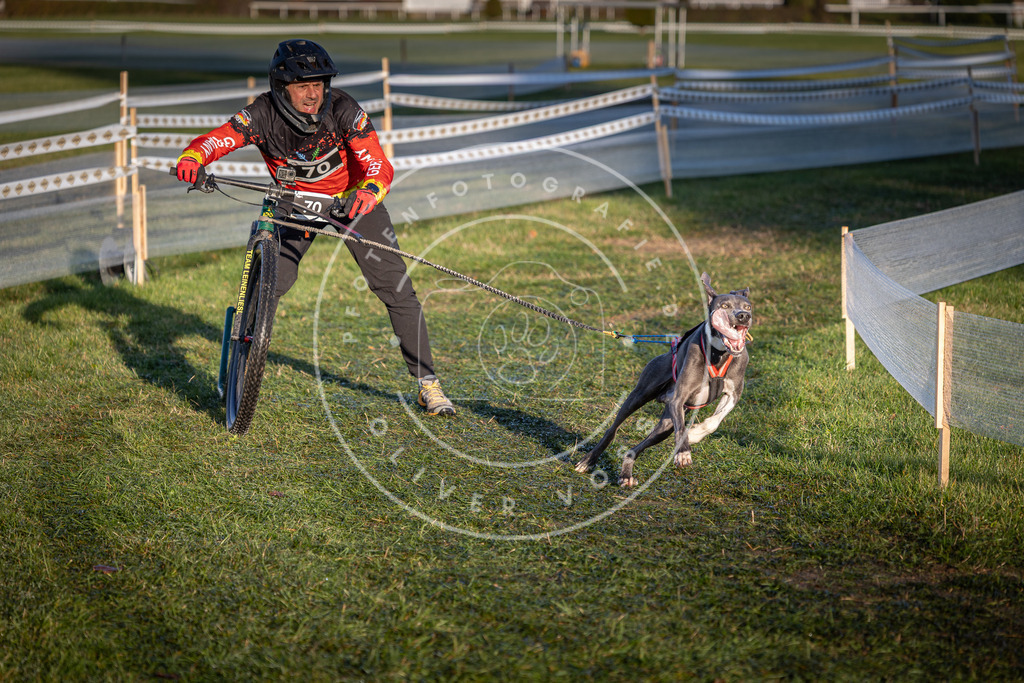CaniXpix_0L8A3298 | Hundefotografie, Tierfotograf, Pfotenfotografie, Fotoshooting Hund, Hunde Portrait, Hundesport, Hundeportraits, Heideshooting, Hunde, Sportfotograf, Hundefotograf, Turnierhundsport, THS,  - Realisiert mit Pictrs.com
