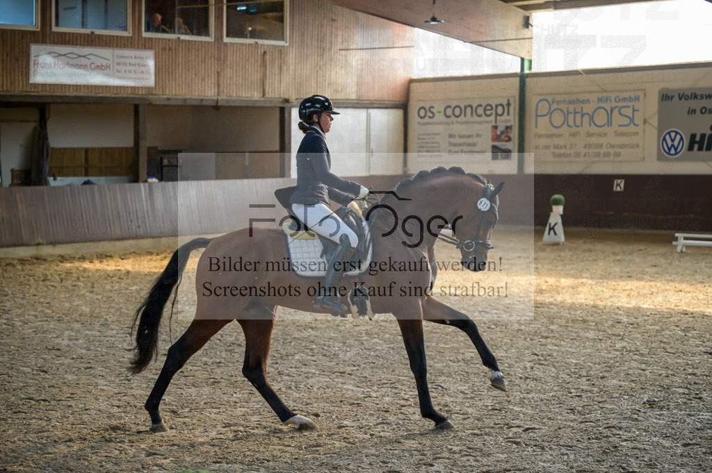 Reitturnier Voxtrup | Entdecke hochwertige Reitturnierfotos von Foto Oger. Professionell, emotional und authentisch – jetzt Lieblingsmomente im Shop bestellen.Deutschlandweite Turnierfotografie. - Realized with Pictrs.com