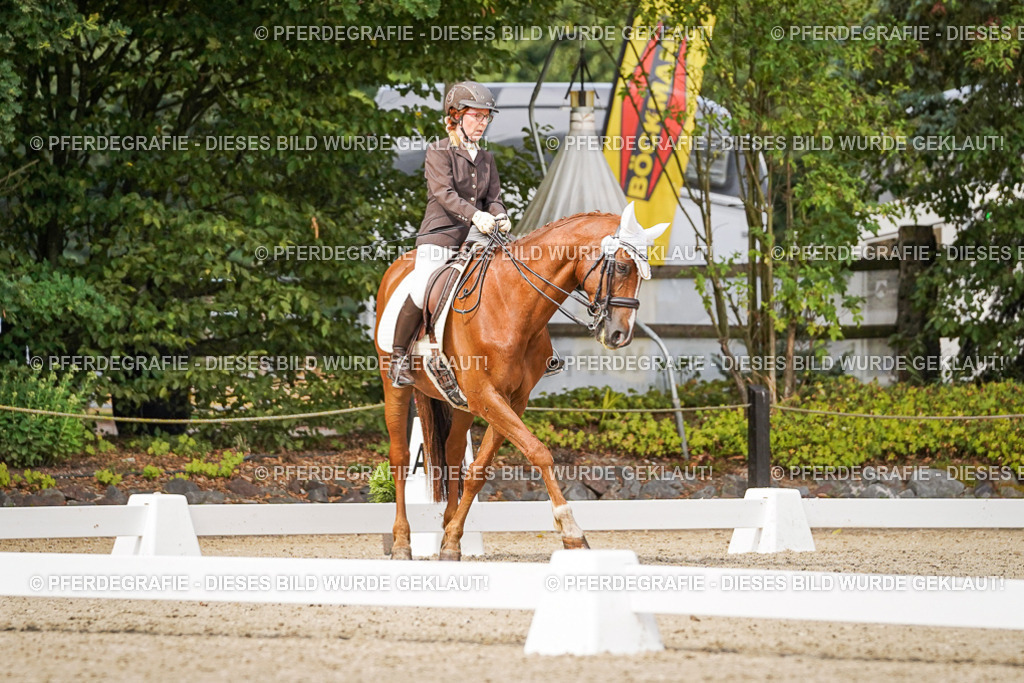 DSC06048 | Pferdegrafie