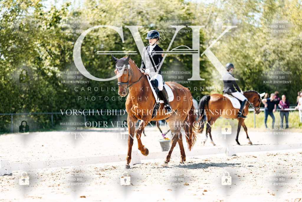 CK905810 | Turnierfotografie Pferdefotografie Trier Rheinland-Pfalz Pferdesport Reitsport Tierfotografie Sportfotografie Pferdevideo Pferdevideografie Equestrianvideography equestrianphotography  - Realisiert mit Pictrs.com