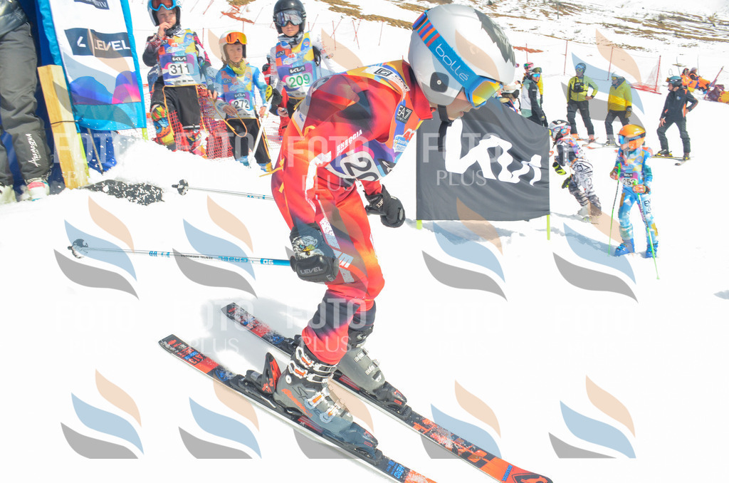 _ELE6931 | holidayphoto