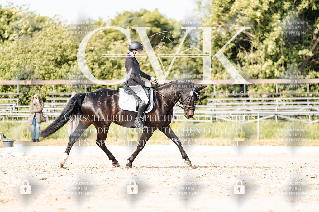 CK900292 | Turnierfotografie Pferdefotografie Trier Rheinland-Pfalz Pferdesport Reitsport Tierfotografie Sportfotografie Pferdevideo Pferdevideografie Equestrianvideography equestrianphotography  - Realisiert mit Pictrs.com