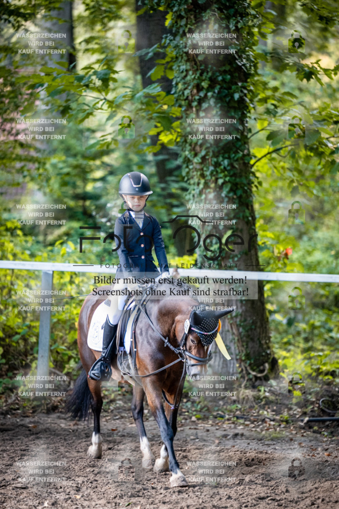 2026-10-Helle-20-4-0062 | Entdecke hochwertige Reitturnierfotos von Foto Oger. Professionell, emotional und authentisch – jetzt Lieblingsmomente im Shop bestellen.Deutschlandweite Turnierfotografie. - Realisiert mit Pictrs.com