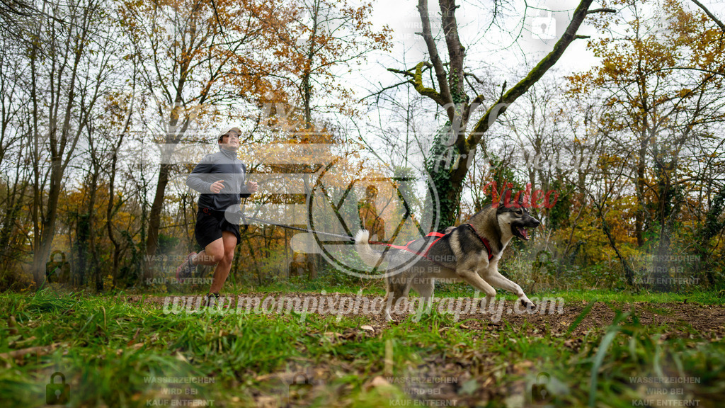 MompixPhotography_Bischwiller24_DI_CoursedeRelais-14 | PayLife