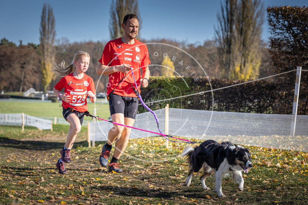CaniXpix_DV3A8160 | Hundefotografie, Tierfotograf, Pfotenfotografie, Fotoshooting Hund, Hunde Portrait, Hundesport, Hundeportraits, Heideshooting, Hunde, Sportfotograf, Hundefotograf, Turnierhundsport, THS,  - Realisiert mit Pictrs.com