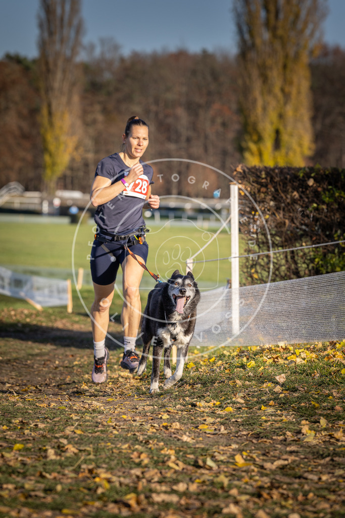 CaniXpix_DV3A1977 | Hundefotografie, Tierfotograf, Pfotenfotografie, Fotoshooting Hund, Hunde Portrait, Hundesport, Hundeportraits, Heideshooting, Hunde, Sportfotograf, Hundefotograf, Turnierhundsport, THS,  - Realisiert mit Pictrs.com