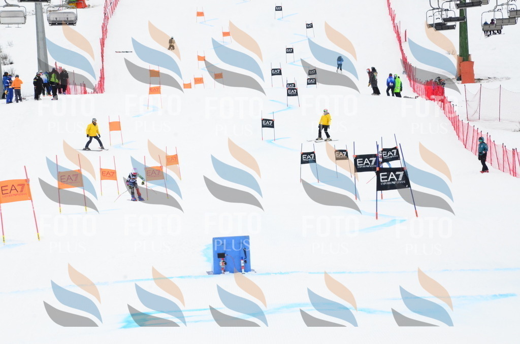 _ELE3515 | holidayphoto