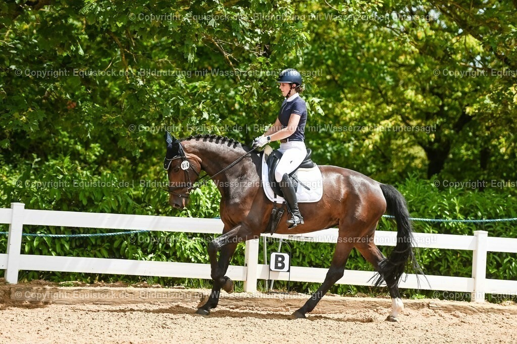 20230715_05_Dressurprüfung Kl.A++_0219 | equistock