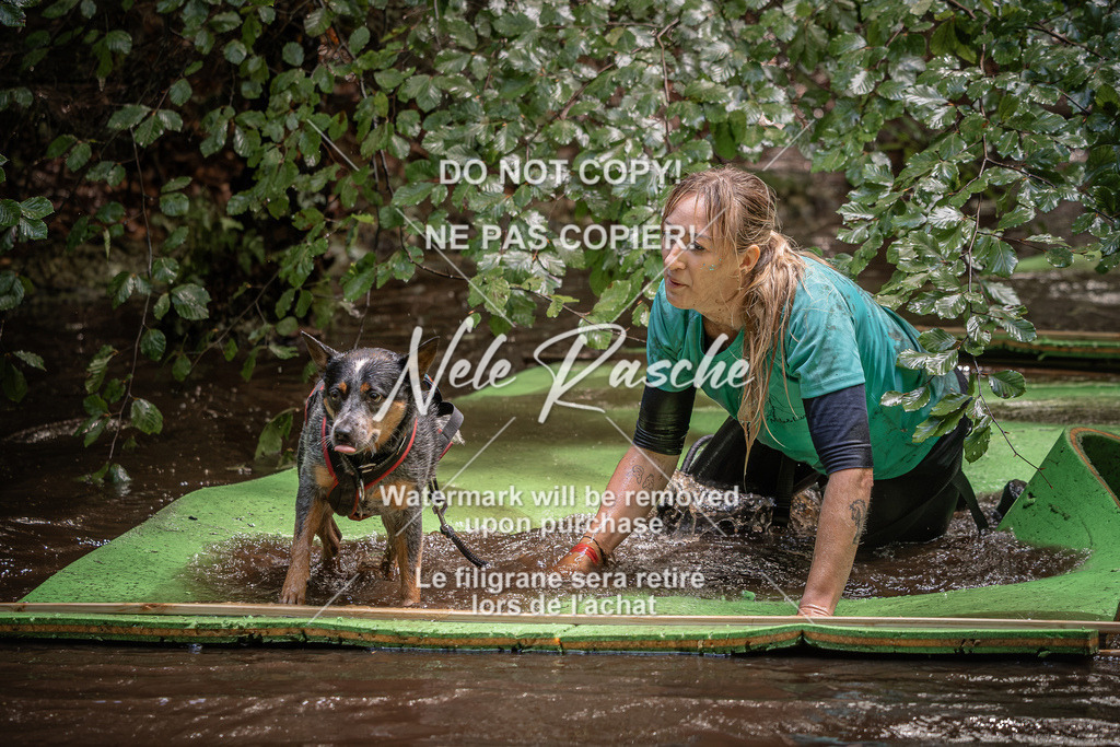 nelerasche_Wingst_Sa1330-1400_259 | nelerasche