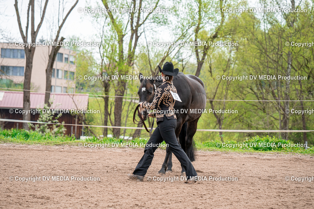 BA300119 | dv-media-shop - Realisiert mit Pictrs.com