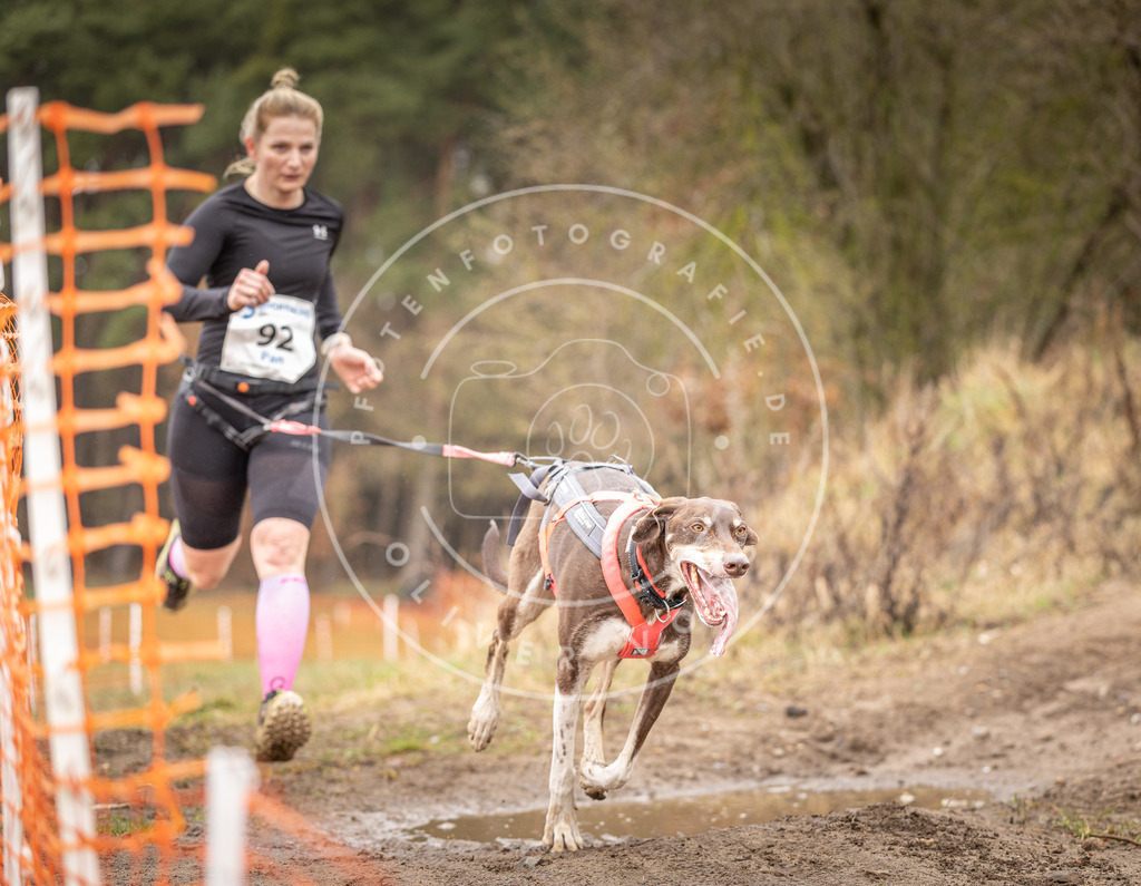 DV3A0427 | Hundefotografie, Tierfotograf, Pfotenfotografie, Fotoshooting Hund, Hunde Portrait, Hundesport, Hundeportraits, Heideshooting, Hunde, Sportfotograf, Hundefotograf, Turnierhundsport, THS,  - Realisiert mit Pictrs.com