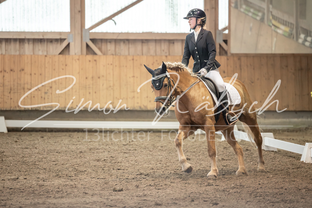 20251011-_3LI6768 | Tierfotografie Pferde, Hunde, Katzen, Haustiere.
Turnierfotografie Reitturniere, Reiten, Springreiten, Dressur in Hanau, dem Main-Kinzig-Kreis und dem Rhein-Main- Gebiet um Frankfurt