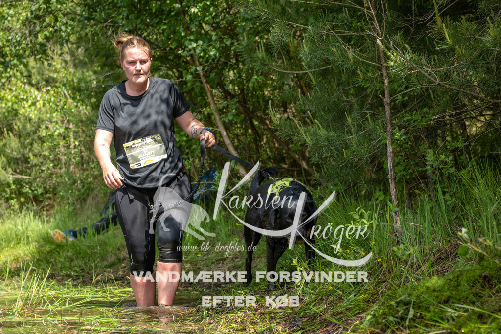 1213DKK992186 | kk-dogfotos