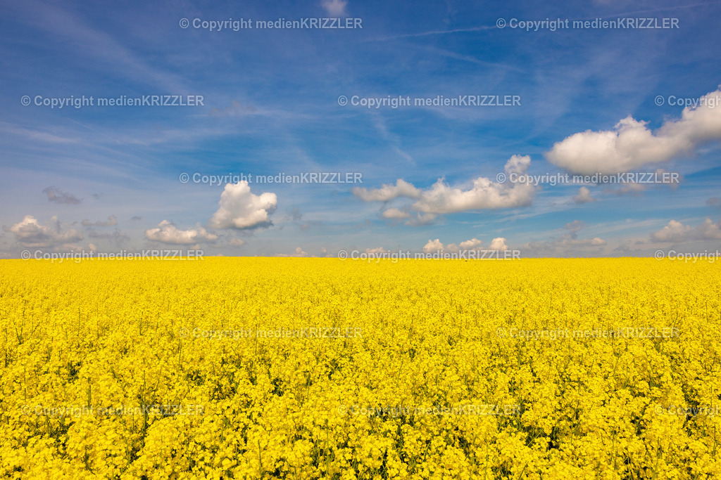 _J3A0605 | medienkrizzler - Realisiert mit Pictrs.com