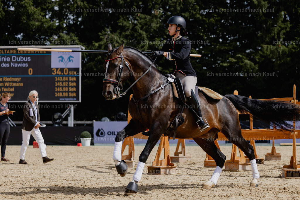 Virginie12FHC2025-20641 | working equitationturnier fotograf videograf stoibphotography marixx film working equitation deutschland reitsport turnierfotografie eventfotografie equestrian events