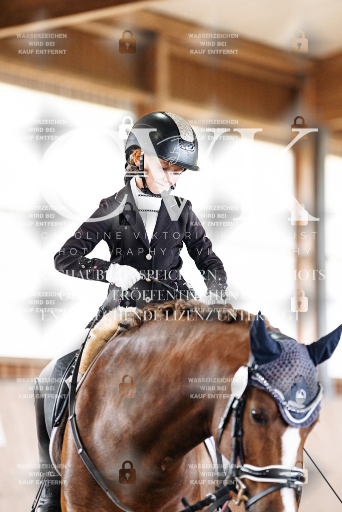 CK901741 | Turnierfotografie Pferdefotografie Trier Rheinland-Pfalz Pferdesport Reitsport Tierfotografie Sportfotografie Pferdevideo Pferdevideografie Equestrianvideography equestrianphotography  - Realisiert mit Pictrs.com