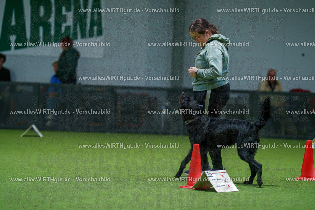 7R505829 | Professionelle Tierfotografie in Mönchengladbach von Daniel Wirth (allesWIRTHgut). Liebevolle & natürliche Bilder von Hunden & Katzen für unvergessliche Erinnerungen.