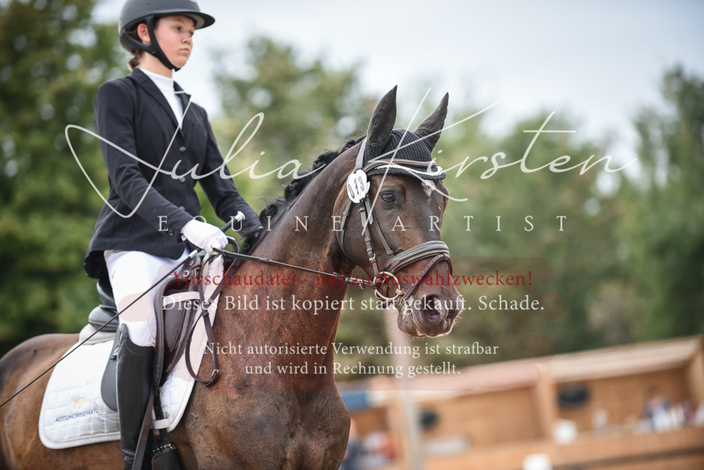 DSC_7941 | Pferde- und Turnierfotografie in Westsachsen. Pferdeportraits, Auftragszeichnungen und intuitive Kunst.