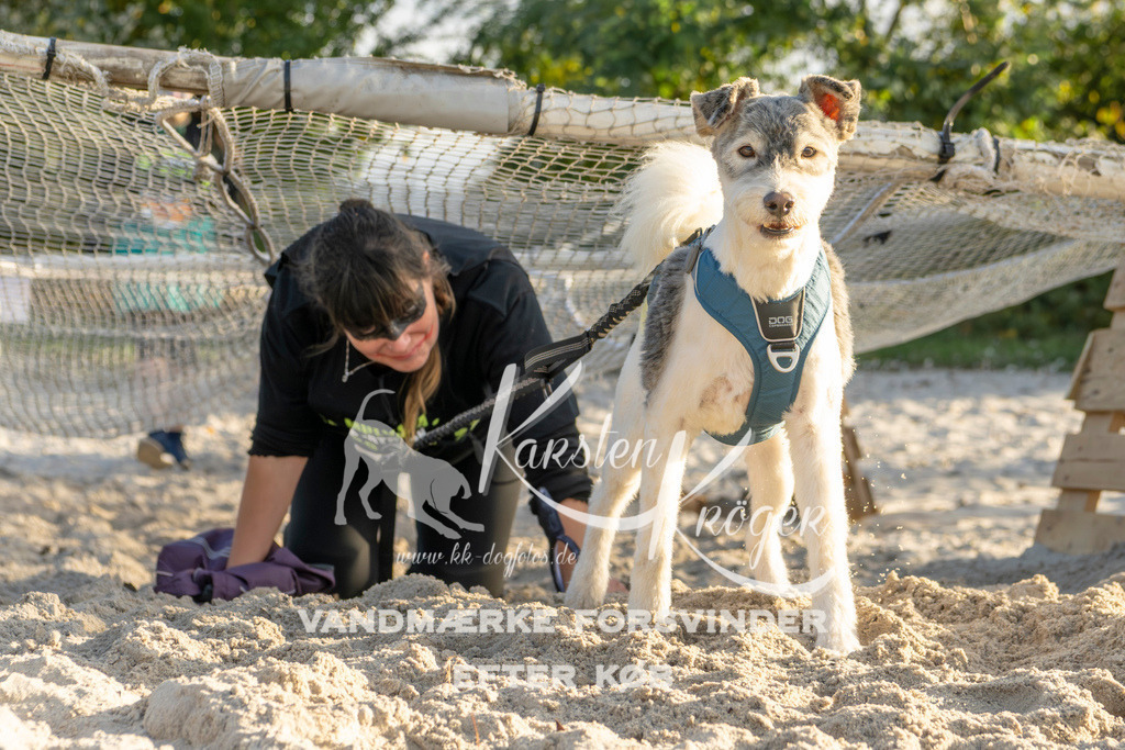 1647_ZZ99449 | kk-dogfotos