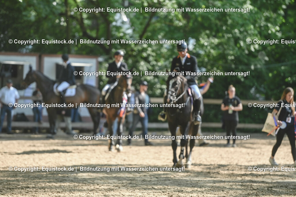 D78_3629 | equistock