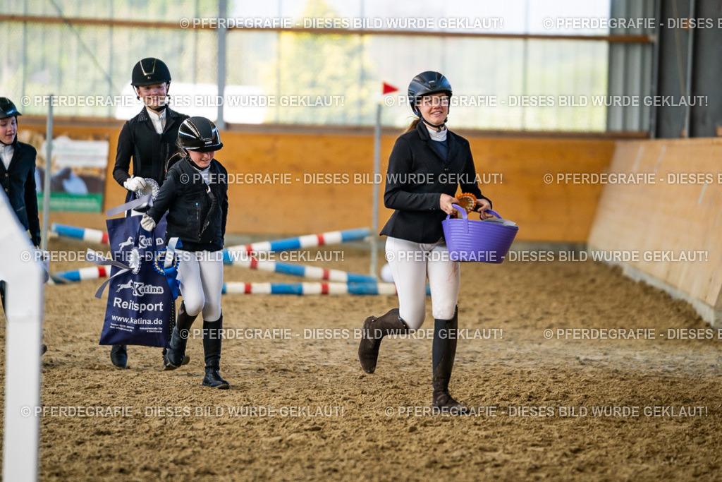 DSC01383 | Pferdegrafie