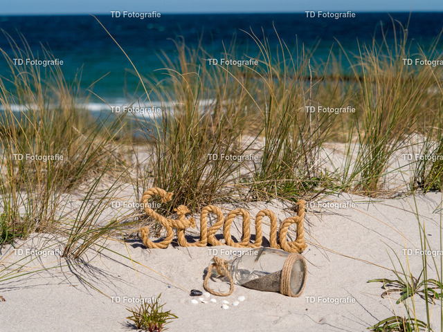 ostesse_natur--4 | OLYMPUS DIGITAL CAMERA - Realisiert mit Pictrs.com