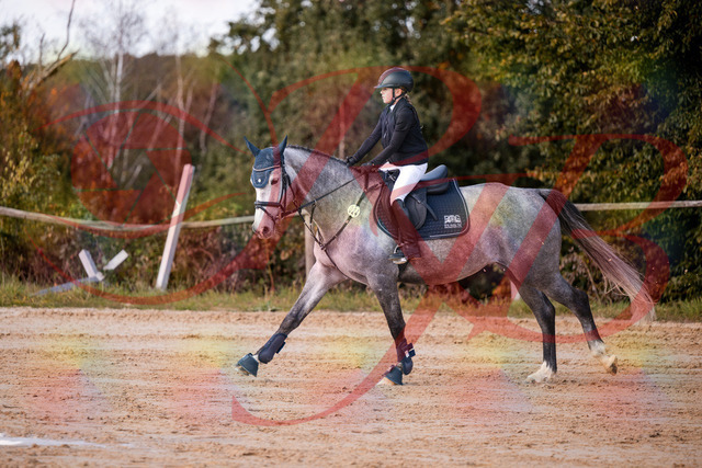 2026_10_03_Siefer-Hof_145126_Z81_30195096 | Professionelle Reitsport-, Turnier- und Eventfotografie von Robert Broda. Galerien mit ausgewählten und bearbeiteten Bildern direkt online ansehen und bestellen.