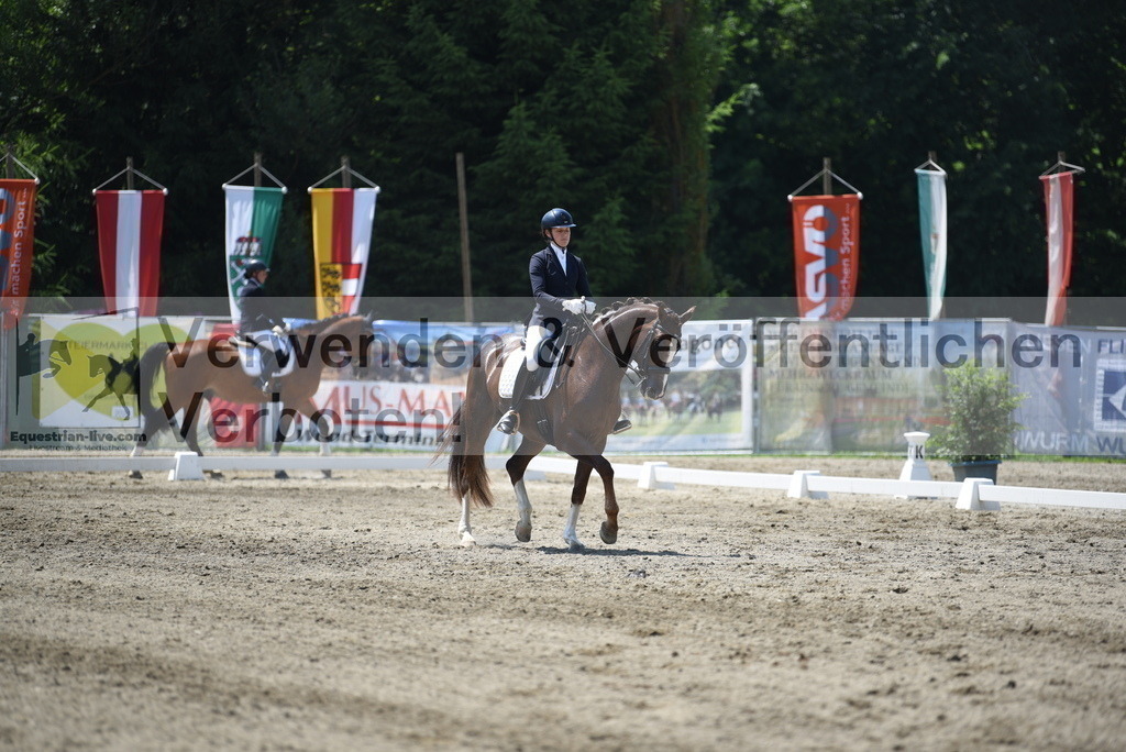 DSC_0707 | equestrian-live-com