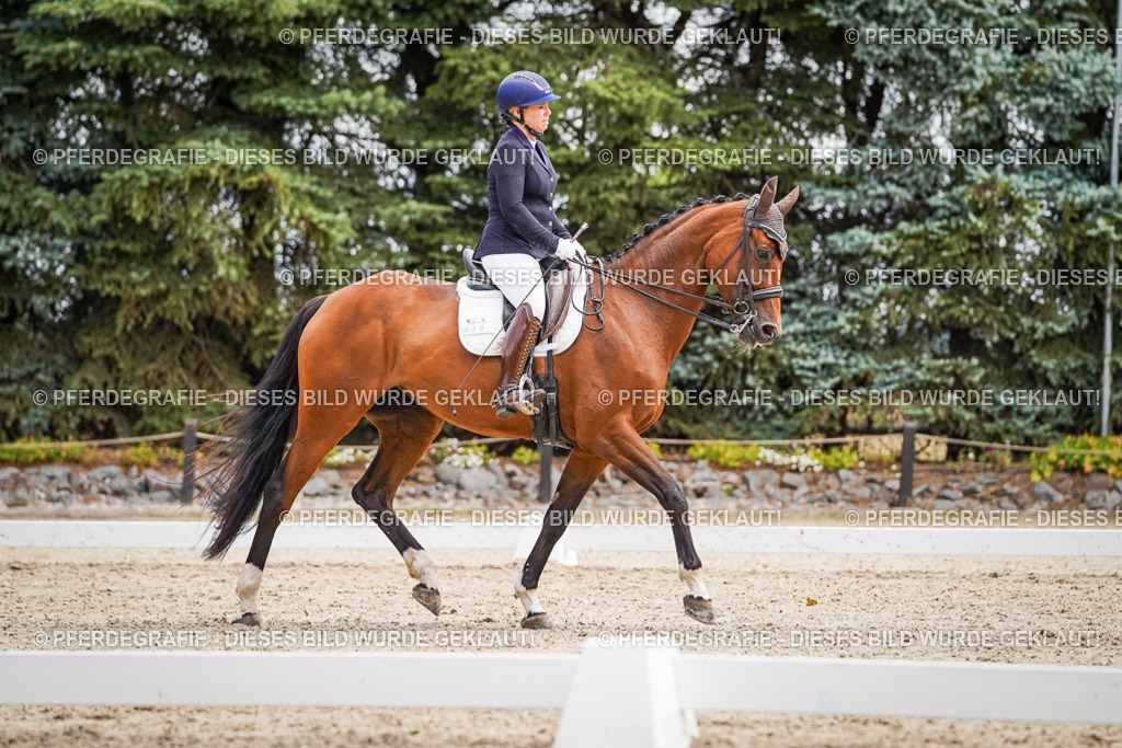 DSC03207 | Pferdegrafie