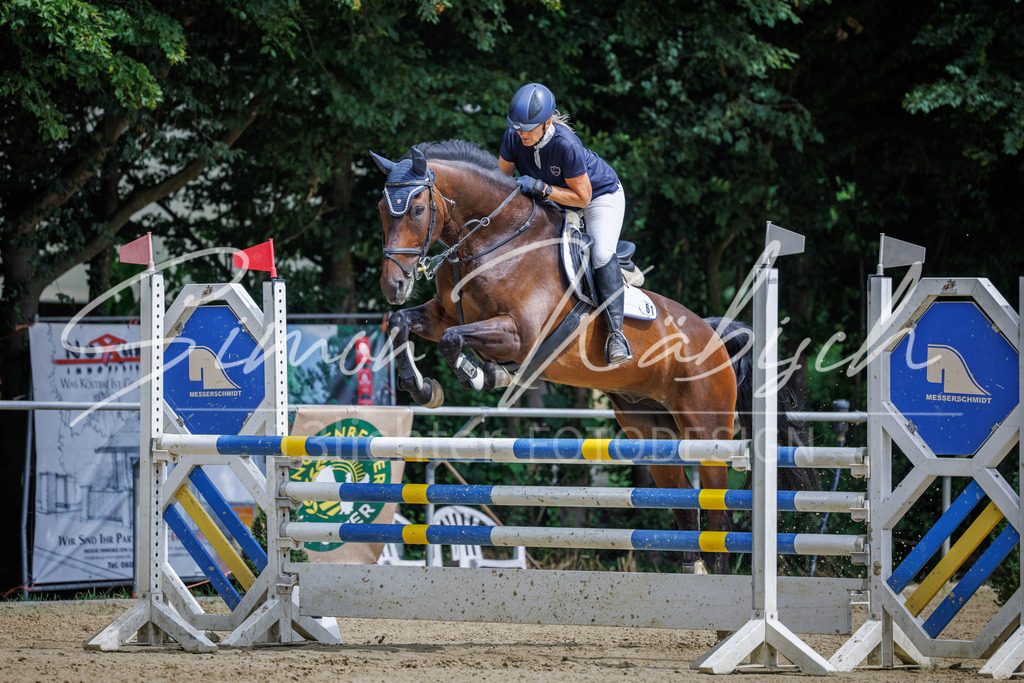 20260705-_3LI6509 | Tierfotografie Pferde, Hunde, Katzen, Haustiere.
Turnierfotografie Reitturniere, Reiten, Springreiten, Dressur in Hanau, dem Main-Kinzig-Kreis und dem Rhein-Main- Gebiet um Frankfurt