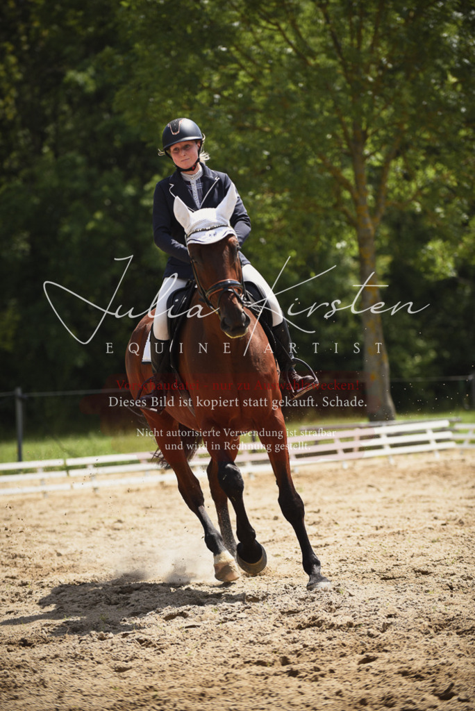 DSC_1474 | Pferde- und Turnierfotografie in Westsachsen. Pferdeportraits, Auftragszeichnungen und intuitive Kunst.