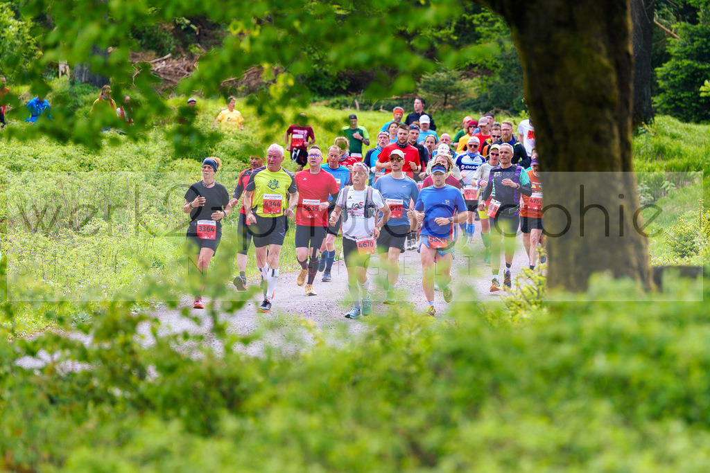 Rennsteiglauf Marathon 2025 | Marathon von Neuhaus/Rwg. nach Schmiedefeld/Rstg. am 17. Mai 2025