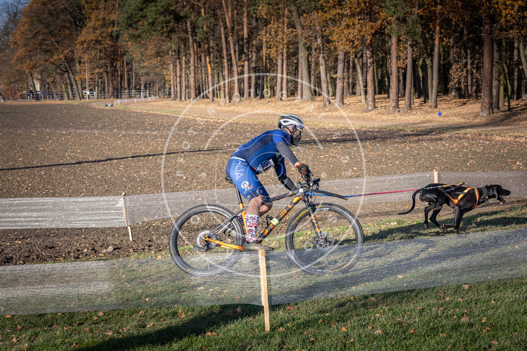 CaniXpix_DV3A2657 | Hundefotografie, Tierfotograf, Pfotenfotografie, Fotoshooting Hund, Hunde Portrait, Hundesport, Hundeportraits, Heideshooting, Hunde, Sportfotograf, Hundefotograf, Turnierhundsport, THS,  - Realisiert mit Pictrs.com