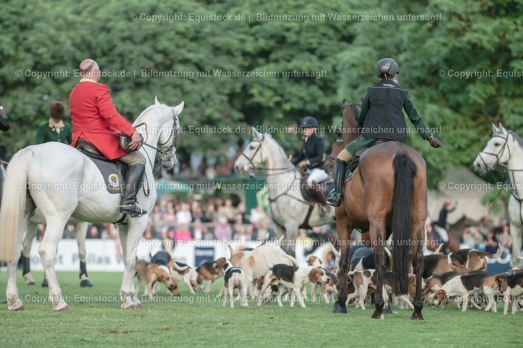 20230526_Pferdenacht_0580 | equistock