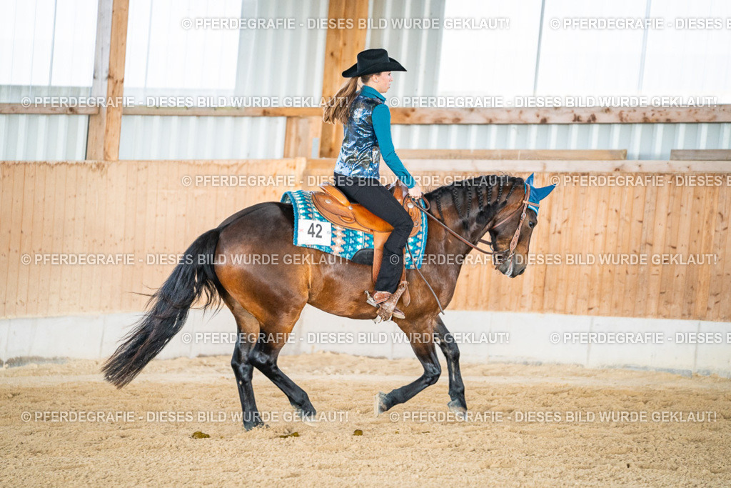 DSC08564 | Pferdegrafie