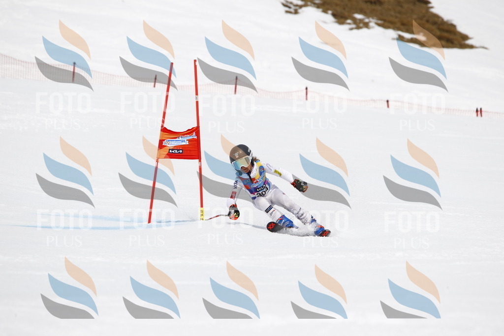 _U3G7563 | holidayphoto