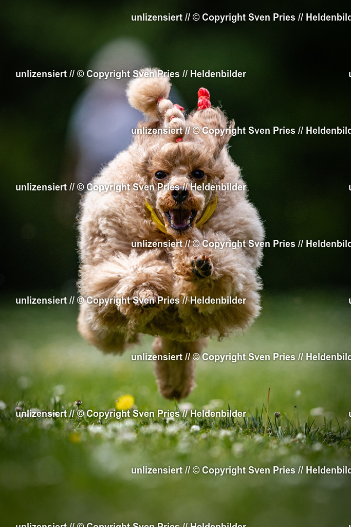 Sven Pries | 2025-05-29 - Pudelrennen KA-Durlach - Realisiert mit Pictrs.com