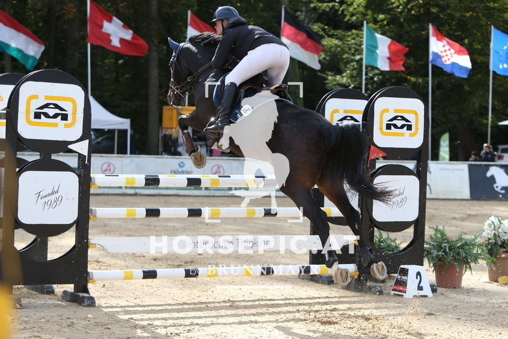 DL2Q5207 | Willkommen bei Brunnmayr - Design & Fotografie – Ihrem Spezialisten für Reitturniere und Pferdeveranstaltungen in Oberösterreich, Salzburg und Bayern! Seit über 17 Jahren sind wir leidenschaftlich dabei.