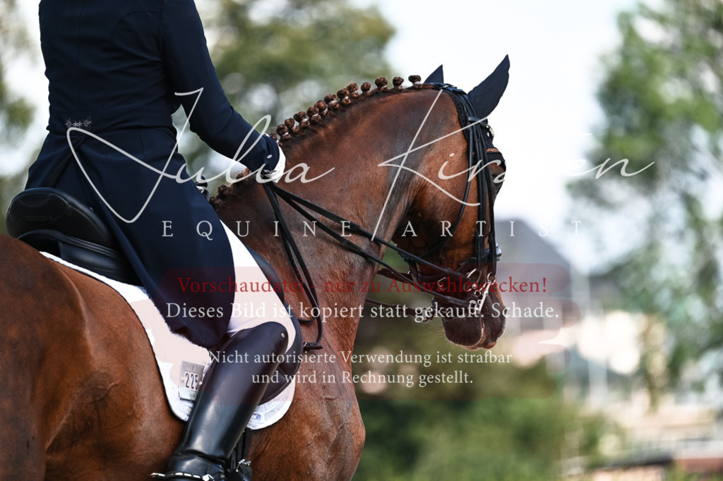 DSC_3200 | Pferde- und Turnierfotografie in Westsachsen. Pferdeportraits, Auftragszeichnungen und intuitive Kunst.