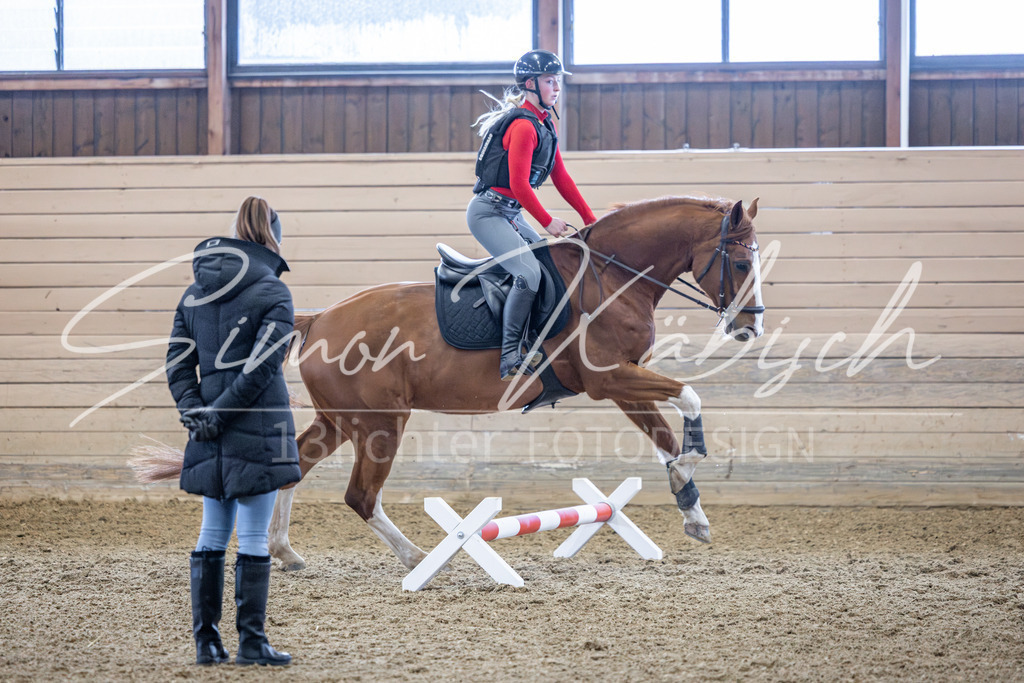 20260221-_3LI8936 | Tierfotografie Pferde, Hunde, Katzen, Haustiere.
Turnierfotografie Reitturniere, Reiten, Springreiten, Dressur in Hanau, dem Main-Kinzig-Kreis und dem Rhein-Main- Gebiet um Frankfurt